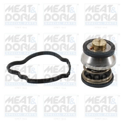 Thermostat, coolant